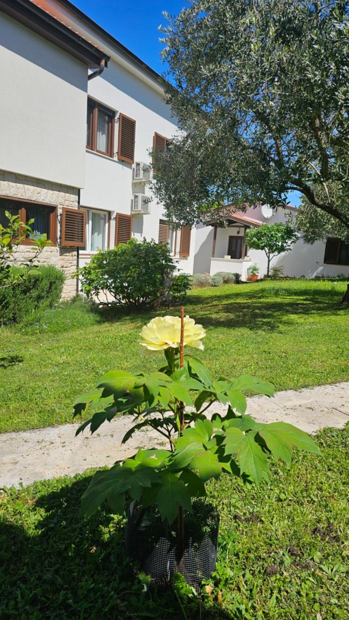 Apartments Dina Pula Exteriér fotografie